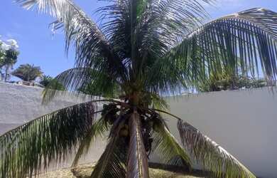 Imagem 16: CASA RESIDENCIAL em Lauro de Freitas - BA, Buraquinho