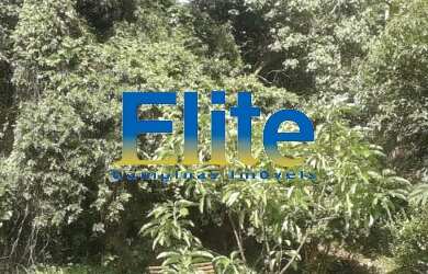 Imagem: O terreno possui 730m² de Área Privada e está localizado