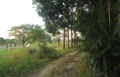 Imagem: O terreno possui 263.000m² de Área Privada e está localizado