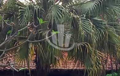 Imagem: A chácara possui 4 Dormitórios, 1 Suíte, 2 Banheiros, 1832m²