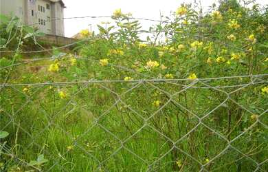 Imagem: O terreno possui 2.297m² de Área Privada e está localizado