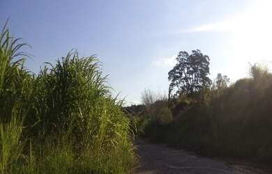 Imagem: O terreno possui 7.580m² de Área Privada e está localizado