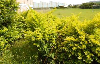 Imagem 4: TERRENO INDUSTRIAL em JUNDIAI - SP, JARDIM DAS TULIPAS