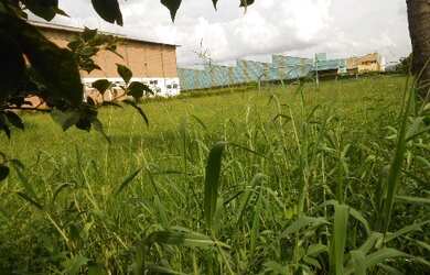 Imagem: O terreno possui 1.464m² de Área Privada e está localizado