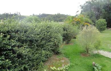 Imagem 5: Casa na Av. Humberto Cereser