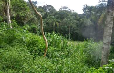 Imagem: O terreno possui 5.000m² de Área Privada e está localizado