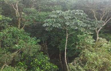 Imagem 4: CASA RESIDENCIAL em JUNDIAÍ - SP, LOTEAMENTO CAPITAL VILLE