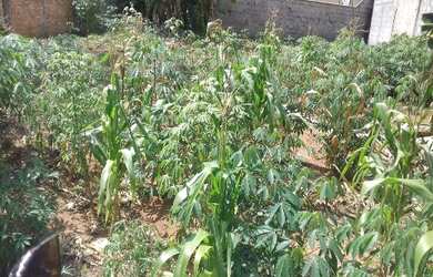 Imagem 2: TERRENO RESIDENCIAL em JUNDIAÍ - SP, JARDIM ITÁLIA