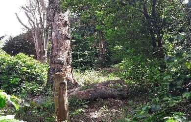 Imagem 4: TERRENO RESIDENCIAL em JUNDIAÍ - SP, HORTO SANTO ANTONIO