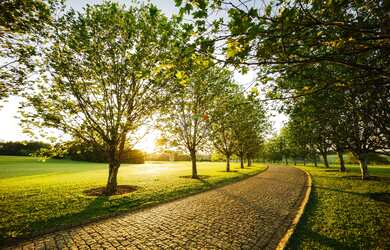 Imagem 5: RESERVA ITANHANGÁ, 459M² de Área Construída