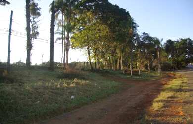 Imagem 15: AREA RESIDENCIAL em BRAGANÇA PAULISTA - SP, ESTRADA MUNICIPAL BRAGANÇA...