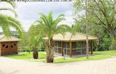 Imagem 8: HARAS RURAL em PORTO FELIZ - SP, AVECUIA DO ALTO