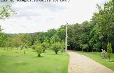 Imagem 3: HARAS RURAL em PORTO FELIZ - SP, AVECUIA DO ALTO