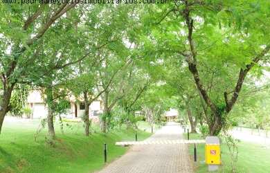 Imagem 2: HARAS RURAL em PORTO FELIZ - SP, AVECUIA DO ALTO