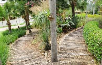 Imagem 15: HARAS RURAL em PORTO FELIZ - SP, AVECUIA DO ALTO