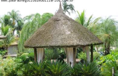 Imagem 12: HARAS RURAL em PORTO FELIZ - SP, AVECUIA DO ALTO