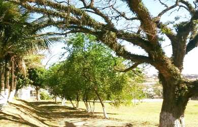 Imagem: CHACARA COMERCIAL em campinas - SP, CHACARA ZM