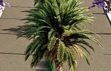 Imagem: O terreno possui 240m² de Área e está localizado em Porto