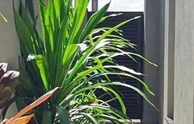 Imagem 12: Imperdível Casa em Condomínio à Venda em Campinas-SP, Loteamento Parque...