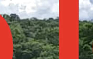 Imagem: O terreno possui 600m² de Área Privada e está localizado