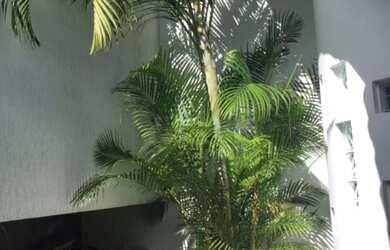 Imagem 7: CASA RESIDENCIAL em Quatis - RJ, Bomdarovsk