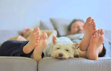 Imagem: O apartamento na cobertura possui 4 Dormitórios, 2 Suítes