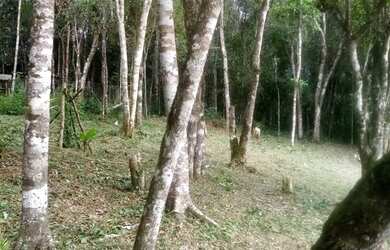 Imagem 10: Chácara para Venda Palestina, Juquitiba - São Paulo!!
