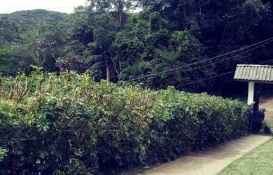 Imagem 12: Chácara para Venda Palestina, Juquitiba - São Paulo!!