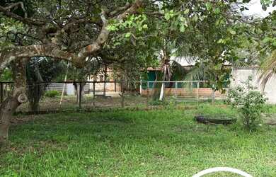 Imagem 5: LOTE RURAL À VENDA NO GLEBA MATAPI