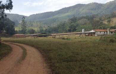 Imagem: A fazenda possui 6 Dormitórios, 2 Suítes, 2 Banheiros, 100.000m²