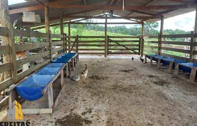 Imagem 5: Fazenda em Abadiânia belíssima escriturada de muito bom gosto