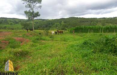 Imagem 12: Fazenda em Abadiânia belíssima escriturada de muito bom gosto