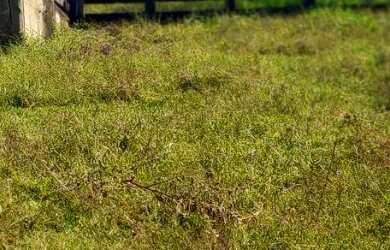 Imagem: A fazenda possui 3 Dormitórios, 1 Banheiro, 300m² de Área