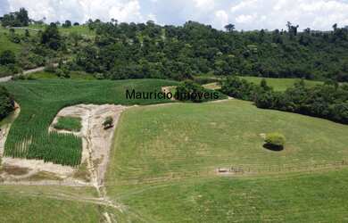 Imagem 15: Sítio com 37,70 hectares, Arroio Grande, Pouso Redondo, S.C., com 3 casas,...