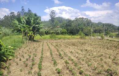 Imagem 9: Lindo sítio com 2,7 hectares a 3 km da cidade de Salete, S.C., com uma...