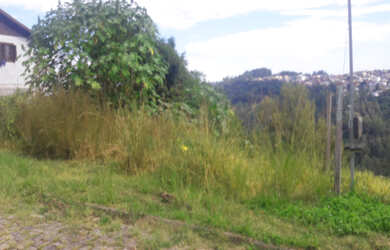 Imagem: TERRENO 600M² NO BAIRRO SÃO VICTOR COHAB, EM CAXIAS DO SUL