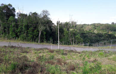 Imagem 6: Terreno a venda no loteamento Terra Nobre - Caxias do Sul