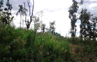 Imagem 1: Terreno Industrial PARA VENDA em São Giácomo - Caxias do Sul