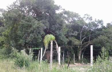 Imagem 2: Terreno Industrial PARA VENDA em São Giácomo - Caxias do Sul