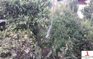 Imagem 5: Terreno 572m² para venda no bairro Santa Catarina, em Caxias do Sul