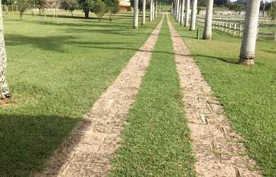 Imagem: A casa em condomínio possui 7 Dormitórios, 5 Vagas na garagem