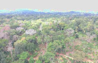 Imagem 6: Fazenda São José. 1.320.000m² de Área