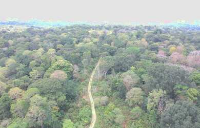 Imagem 14: Fazenda São José. 1.320.000m² de Área