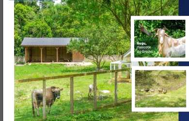 Imagem 13: TERRENO EM CONDOMINIO FECHADO ALTO PADRÃO- CONDOMINIO RESIDENCIAL CAMBORIU