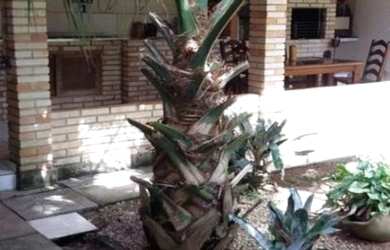 Imagem 3: Ampla casa de aluguel de verão Balneario Camboriu