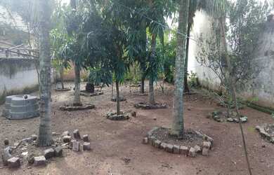 Imagem 2: TERRENO DE 450 M2, TOTALMENTE MURADO