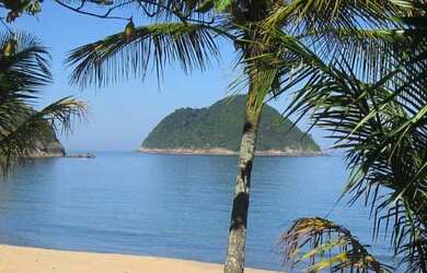 Imagem 14: Terreno - 1.250 m² - Venda por R$ 1.700.000 - praia de Toque Toque Grande - São Sebastião