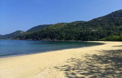 Imagem 15: Terreno - 1.250 m² - Venda por R$ 1.700.000 - praia de Toque Toque Grande - São Sebastião