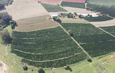 Imagem: A fazenda possui 50-0m² de Área e está localizado em Macaúbas