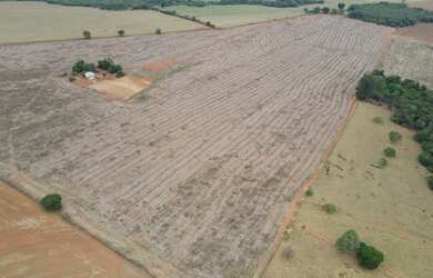Imagem 2: FAZENDA PRÓPRIA PARA CAFÉ EM COROMANDEL